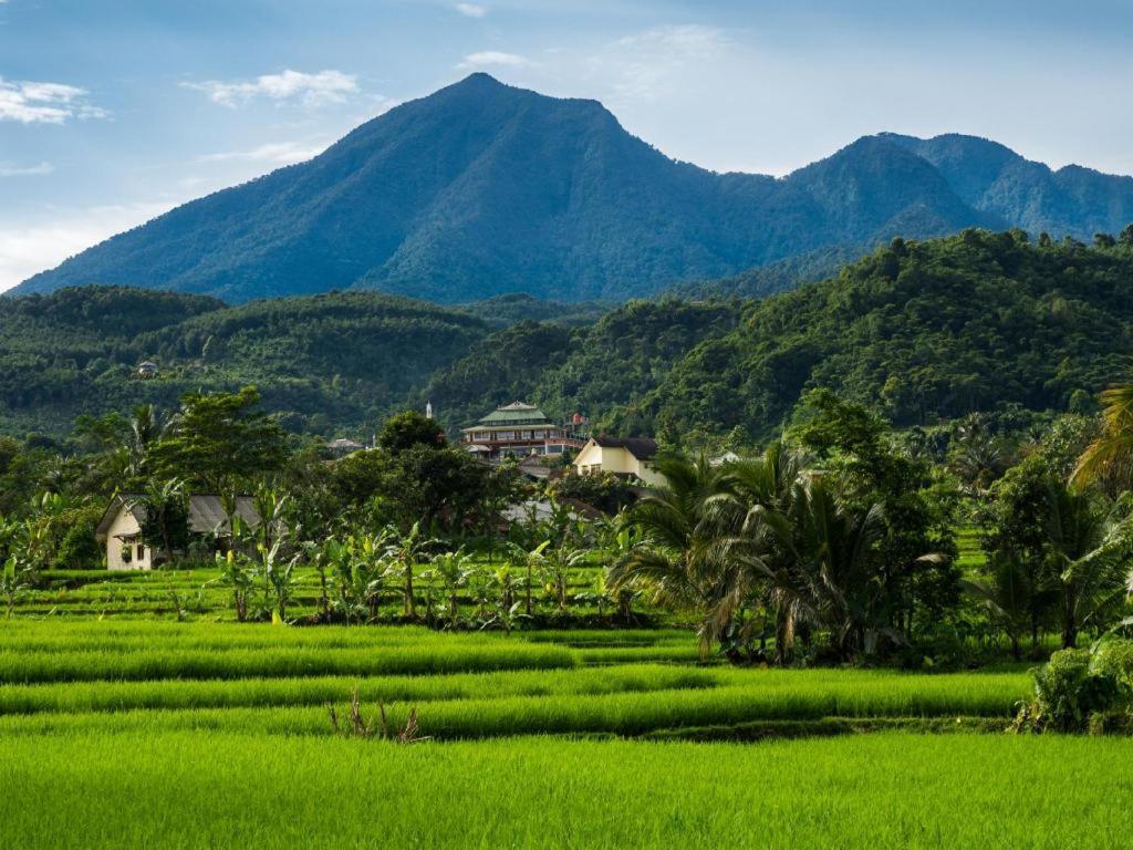 Oyo 94143 Mahagoni House Syariah Hotel โบกอร์ ภายนอก รูปภาพ